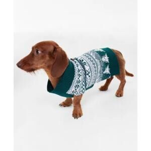 Holiday Lane Fair Isle Knit Pet Sweater In Forest Green